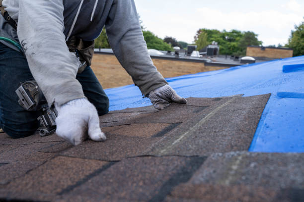 Best Storm Damage Roof Repair  in Doylestown, OH