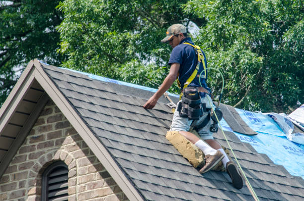 Quick and Trustworthy Emergency Roof Repair Services in Doylestown, OH